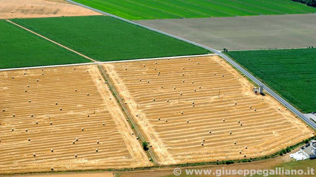 video_aziende_agricole_produzione_galliano